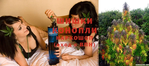 спайс Алзамай