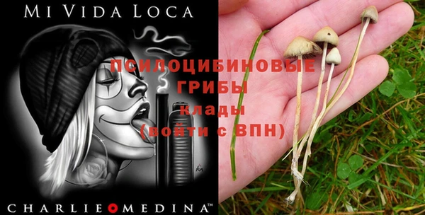 спайс Алзамай