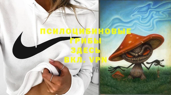 герыч Алексин