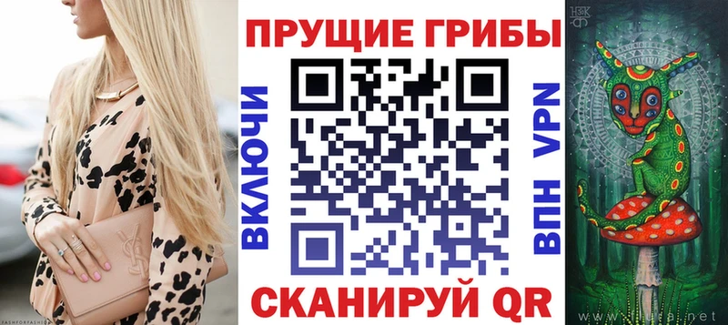 мега рабочий сайт  Дрезна  Псилоцибиновые грибы ЛСД  сколько стоит 