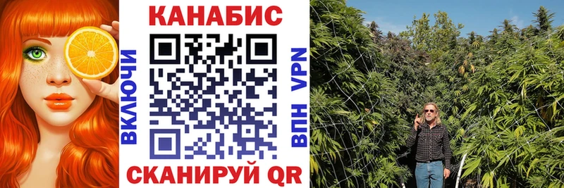 Бошки марихуана семена  мега ссылки  Дрезна 
